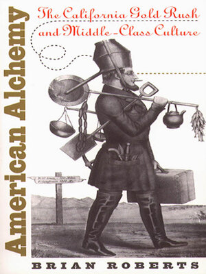 cover image of American Alchemy